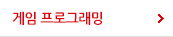 게임 프로그래밍